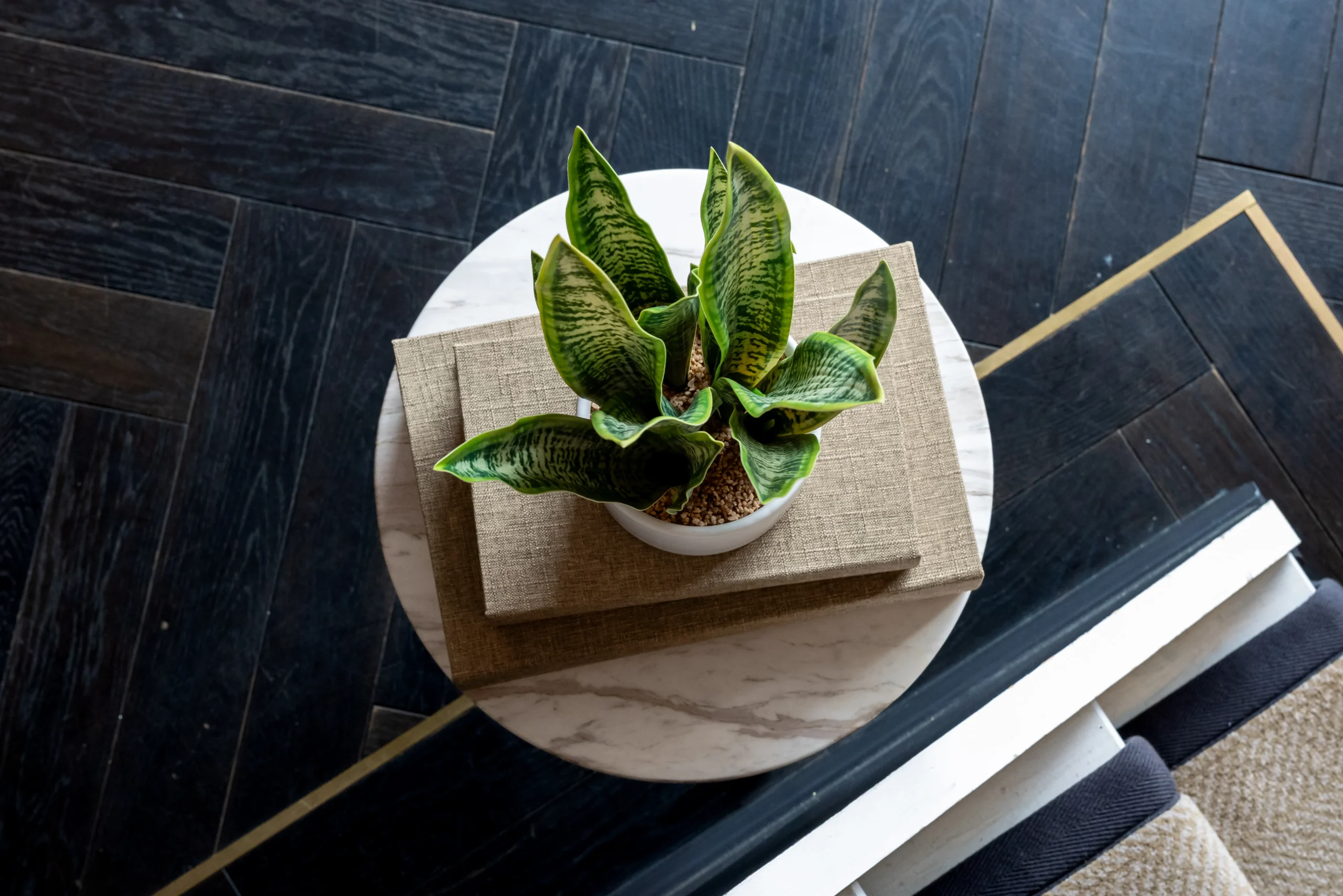 Snake plant in white pot on round white marble side table over dark herringbone wood floor
